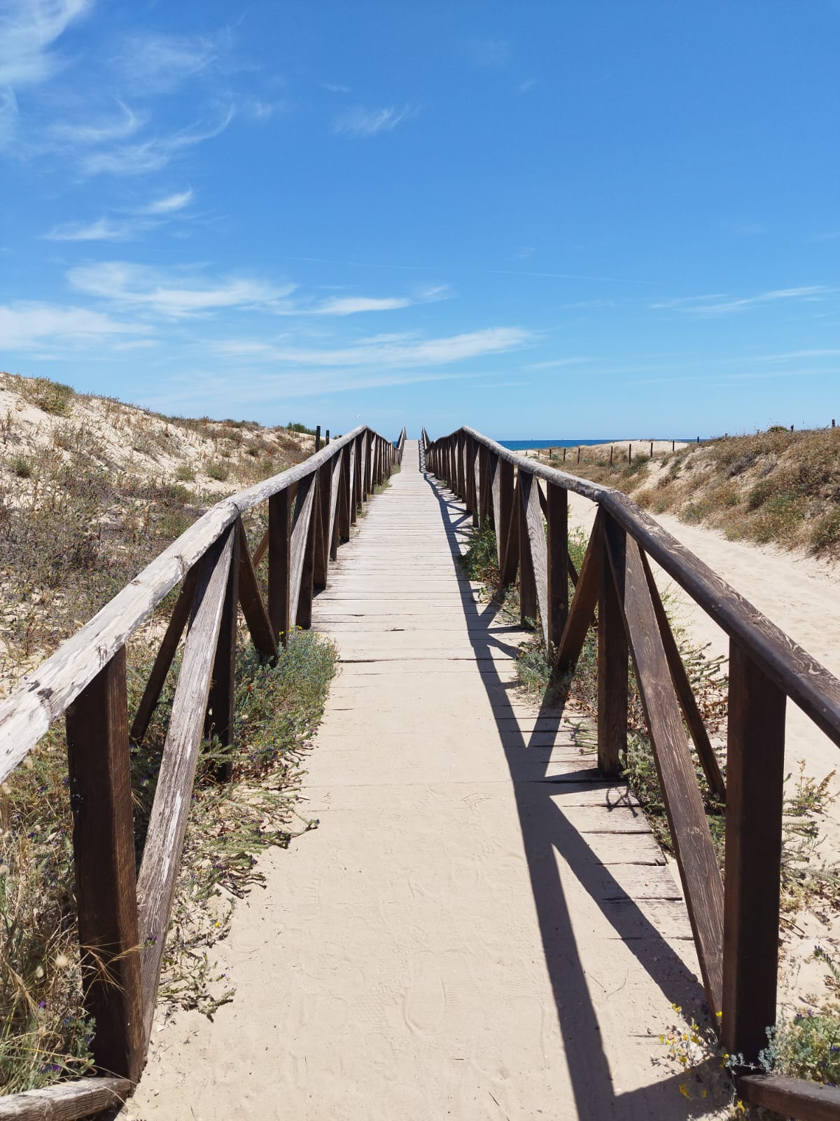 Urlaub an der Costa Blanca mit Amann Ferienwohnungen